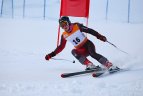 Baltijos Taurė. Super-G varžybos