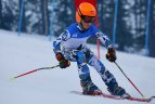 Baltijos Taurė. Super-G varžybos
