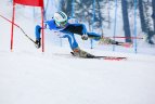 Baltijos Taurė. Super-G varžybos