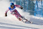 Baltijos Taurė. Super-G varžybos