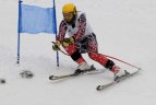 "Žalgirio" žiemos sportp žaidynių kalnų slidinėjimo varžybos