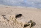Pasaulinei širdies dienai paminėti skirtas žygis Lietuvos pajūriu