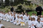 Japonijos bičiuliai, karate meistrai Vilniuje pažymėjo sakurų žydėjimo šventę