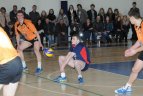 Tinklinio čempionato finalas. VGTU-MRU - "Flamingo Volley-SM Tauras".