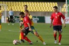 2011.08.10 Draugiškos rungtynės Lietuva - Armėnija. 3:0