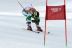Slalomas milžinas - Rokas Zaveckas.