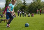 "Golas 2016" Vilkaviškyje.