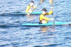 Trakų regata.