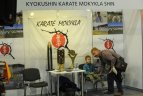 Vilniaus miesto sporto festivalis. Pirmoji diena.