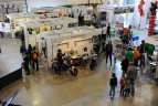 Vilniaus miesto sporto festivalis. Antroji diena.