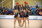 Meninės gimnastikos turnyras Vilniuje