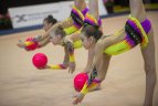 Meninės gimnastikos turnyras Vilniuje