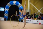 Meninės gimnastikos turnyras Vilniuje