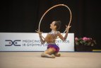 Meninės gimnastikos turnyras Vilniuje
