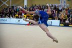 Meninės gimnastikos turnyras Vilniuje