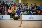 Meninės gimnastikos turnyras Vilniuje