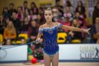 Meninės gimnastikos turnyras Vilniuje