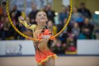 Meninės gimnastikos turnyras Vilniuje