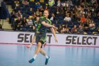 Lietuva – Belgija 33:28.