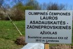 Ąžuoliukas Olimpiečių alejoje.