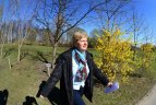 Ąžuoliukas Olimpiečių alejoje.