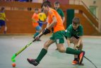 2016-2017 metų Lietuvos vaikų riedulio lygos finalinės varžybos Panevėžyje