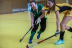 Lietuvos moterų žolės riedulio čempionato B diviziono 7-8 turų rungtynės.