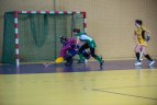 Lietuvos moterų žolės riedulio čempionato B diviziono 7-8 turų rungtynės.