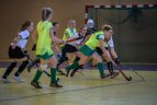 Lietuvos moterų žolės riedulio čempionato B diviziono 7-8 turų rungtynės.