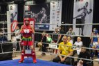 Vilniaus sporto festivalis.