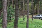 Linas Kleiza su globos namų vaikais leido laiką "TonyResort"  parke