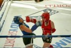 Atvirasis Baltijos šalių muaythai čempionatas Trakuose