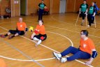 Kaune varžėsi neįgalieji tinklininkai