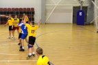 Lietuvos senjorų čempionatas.