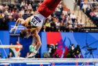 Gimnastas R.Tvorogalas į Europos žaidynių finalą žengė su trečiu rezultatu.