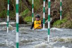 Čempionatą laimėjo Anglijoje gyvenantys lietuviai