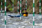 Čempionatą laimėjo Anglijoje gyvenantys lietuviai