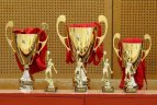 Vilniaus sporto klube „Impuls“ įvyko 2001 m. gimusių berniukų „Marsiečių krepšinio turnyras 2013“.