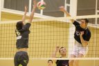Vilniaus "Flamingo Volley"-Raseinių "Norvelita" 3:1