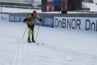 Lietuvos nacionalinės slidinėjimo asociacijos narių tarptautinis sezonas.