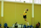 Didžiojo ir mažojo finalų akimirkos