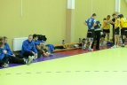 Didžiojo ir mažojo finalų akimirkos