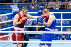 M. Valavičius pralaimėjo V. Babičiui