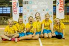 "NIKE Vikruolių taurė".