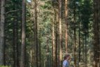 Lietuvos rinktinė pasaulio orientavimosi pirmenybėse užėmė 10-ąją vietą