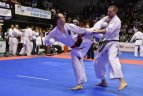 Pasaulio šotokan karatė  čempionato akimirka