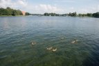 Varžybų Galvės ežere akimirka