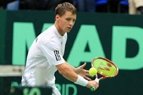 Ričardas Berankis pripažino, kad varžovų lyderis Gregas Žemlja buvo stipresnis, o jam truko šviežumo