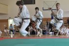 Lietuvos tradicinio karate asociacija (LTKA) nusprendė siekti teisės rengti 2015 metų Europos čempionatą.